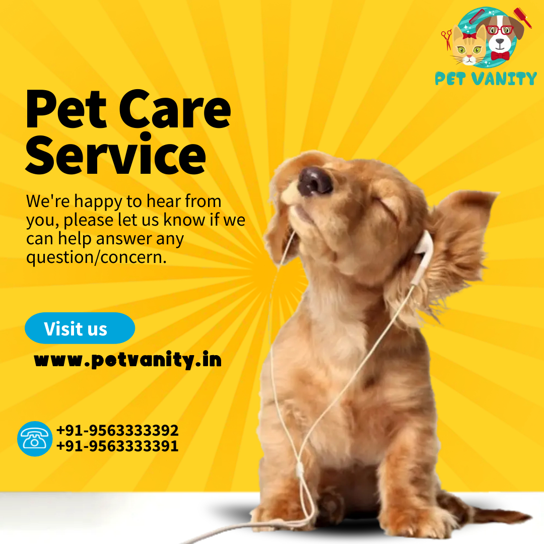 Pet Vanity – Pet & Dog Grooming Services Chandigarh