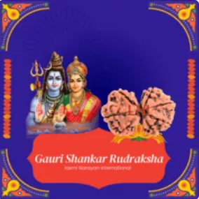 Buy one mukhi rudraksha