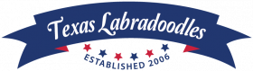 txlabradoodles