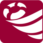 ABS Insurance & Financial Service