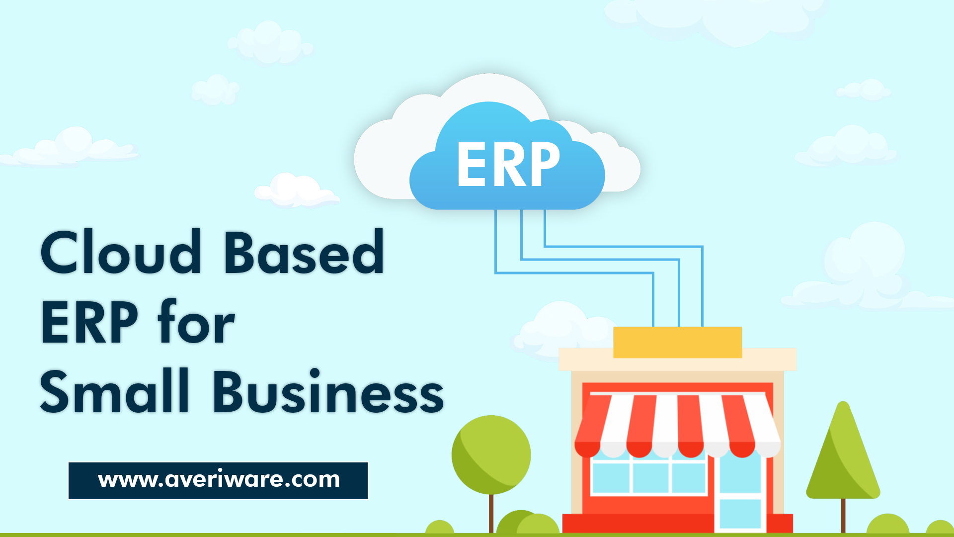 Cloud ERP Software Solution for Small Medium Businesses