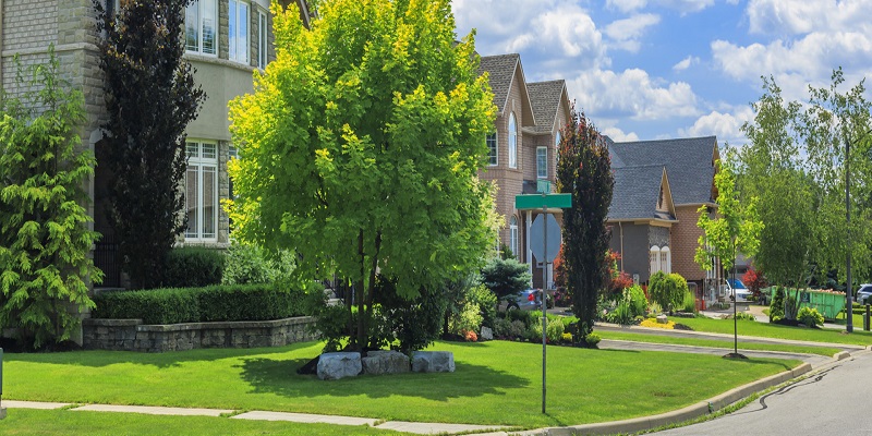 Tall Oaks Realty