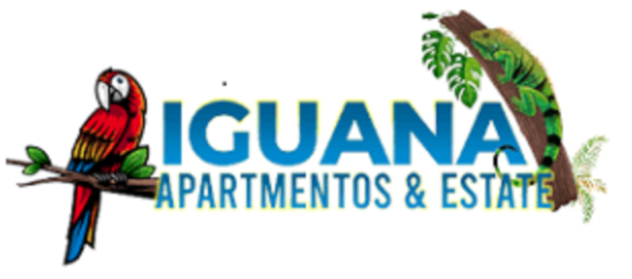 Iguana Apartmentos And Estate