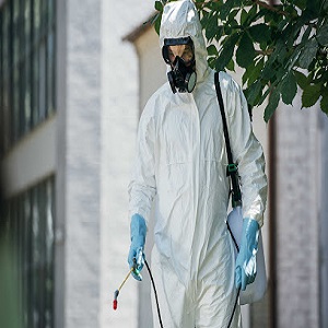 Alpha Pest Control Torrance