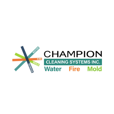 Champion Cleaning Systems