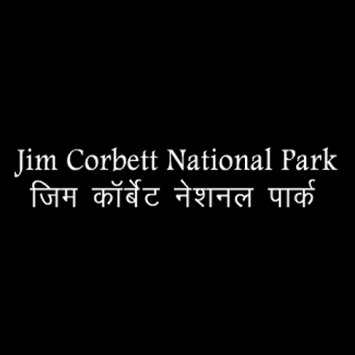 Corbett tiger reserve