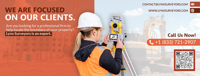Lynx Surveyors