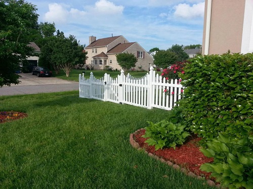 Dandale Fence