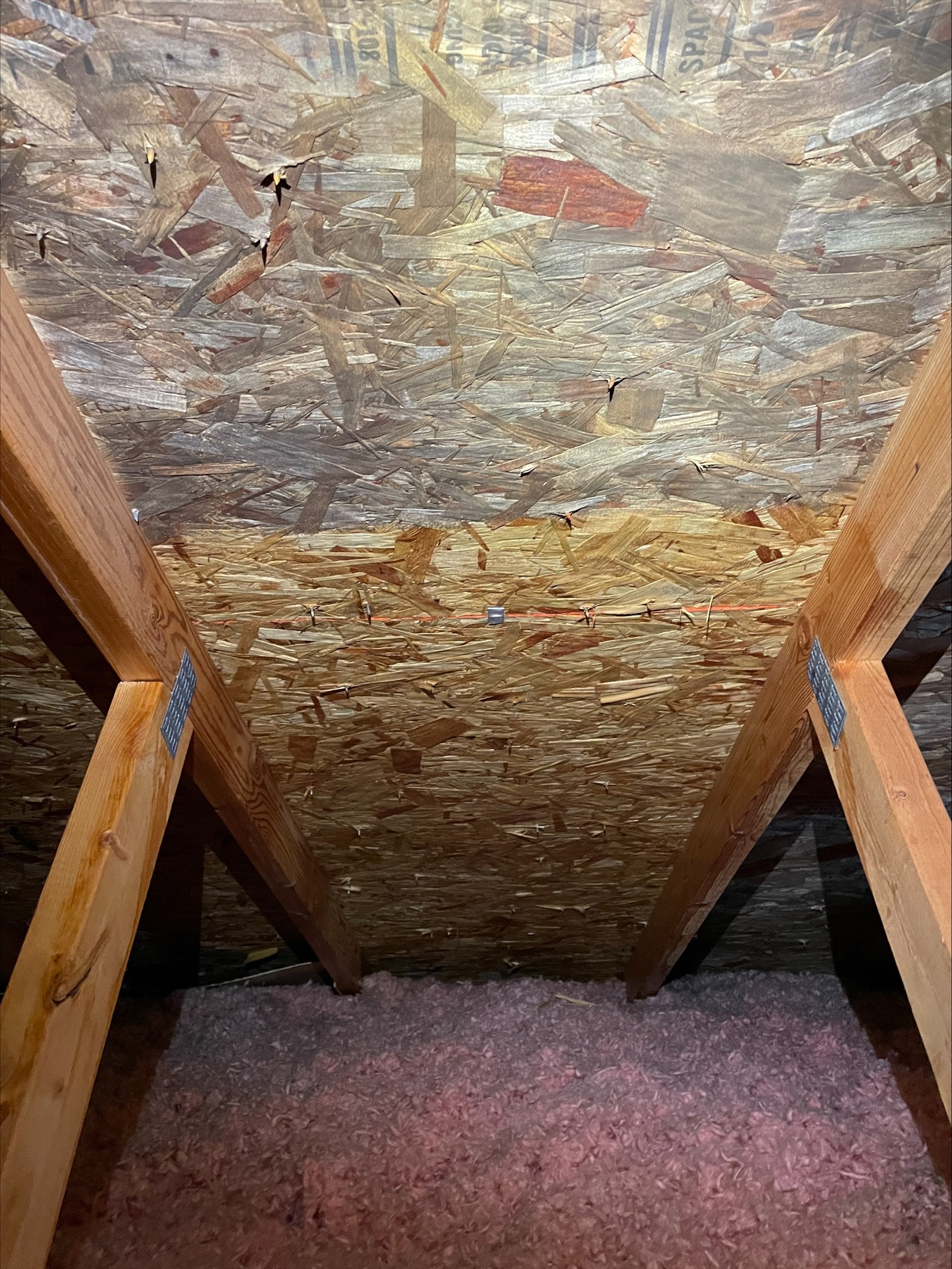Speedy Mould Removal Victoria