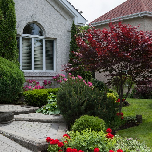 Cedar Park Landscaping, Tree & Lawn