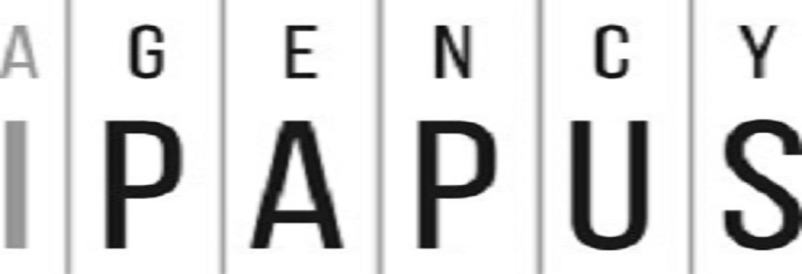 Agencja Marketingowa iPapus