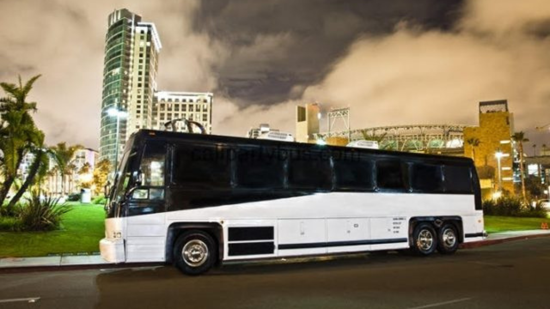 10 Passenger Limousine Rentals in dallas