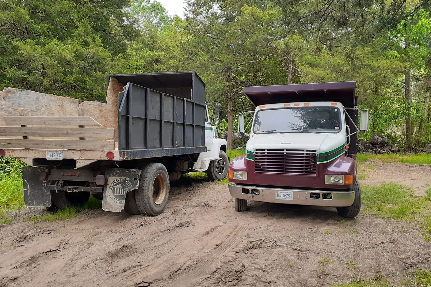 Vienna Tree Service & Landscaping