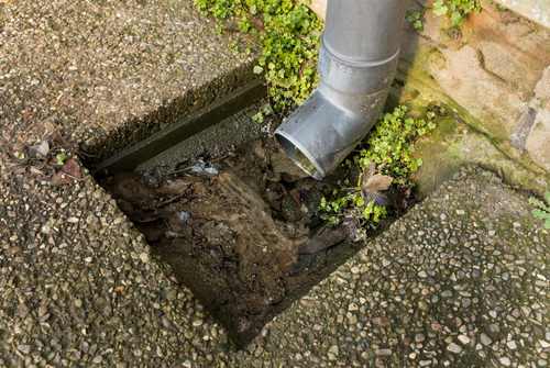 Cairns Professional Plumber