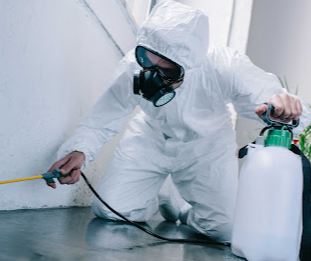 Affordable Pest Control Bronx