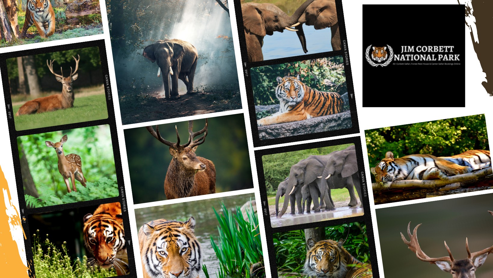 Jim Corbett Bookings Online