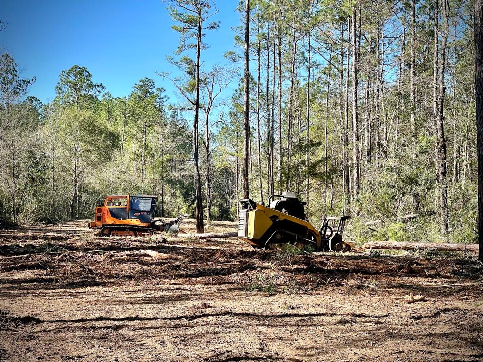 Stuart and Family Land Development