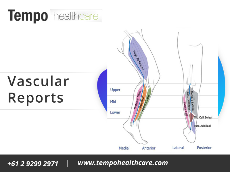 Vascular Reporting Software – Tempo Healthcare