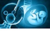 Surrogacy Cost in Dehradun