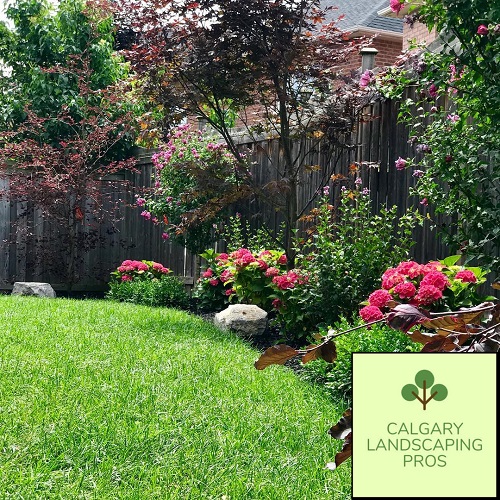 Calgary Landscaping Professionals