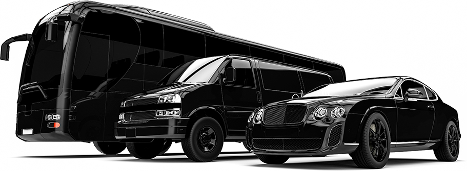 Luxury Lifts Mountain Transportation
