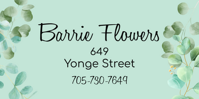 Barrie Flowers 649