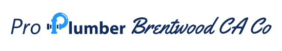 Pro Plumber Brentwood CA Co