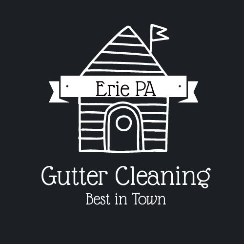 Spotless Gutters Plus