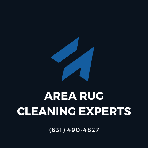 Area Rug Cleaning Experts
