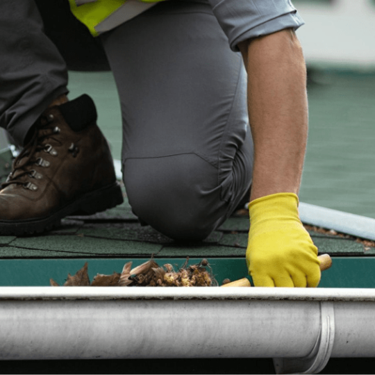 Black Bear Gutters
