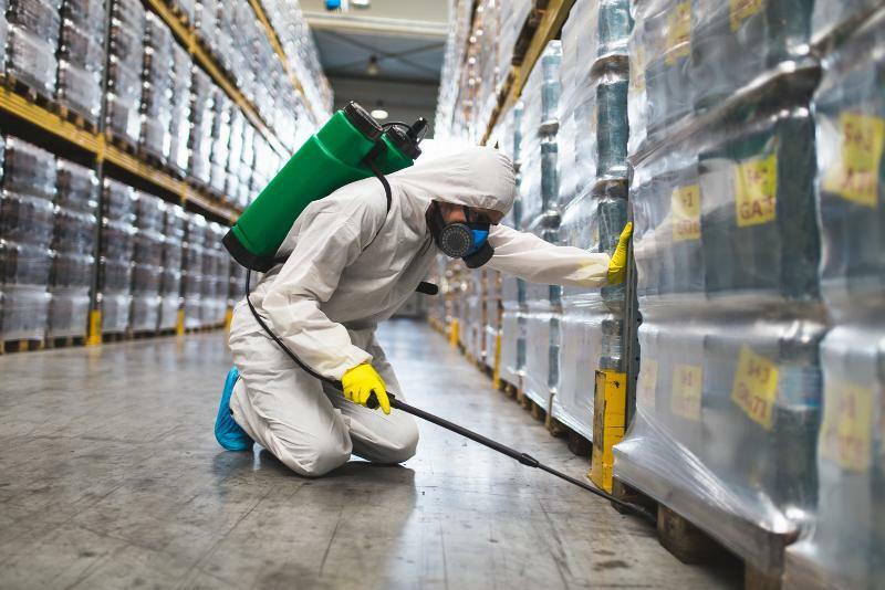 Al-Maani Pest Control
