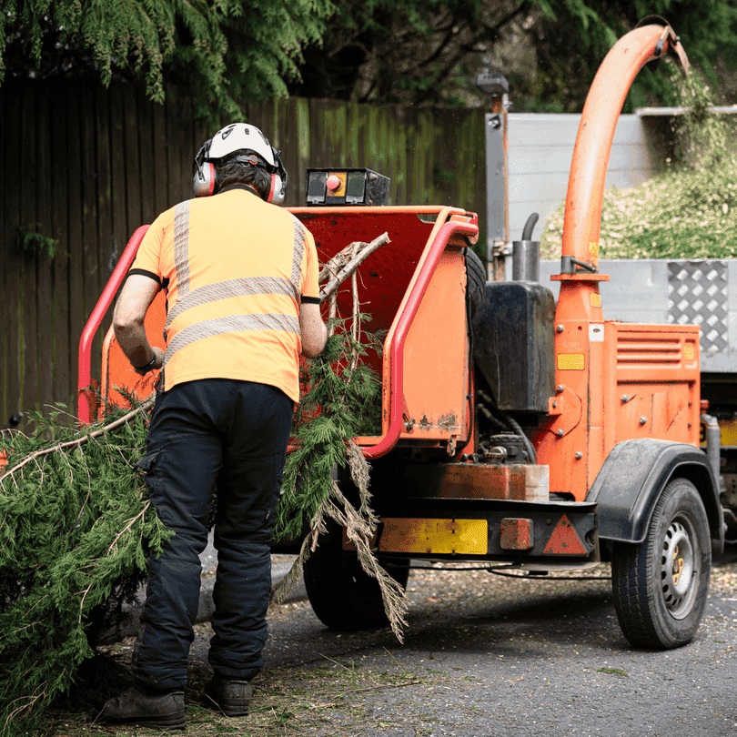 Decatur Tree Service