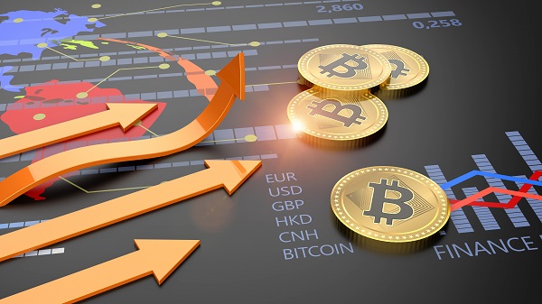 Blockchain Lawyer