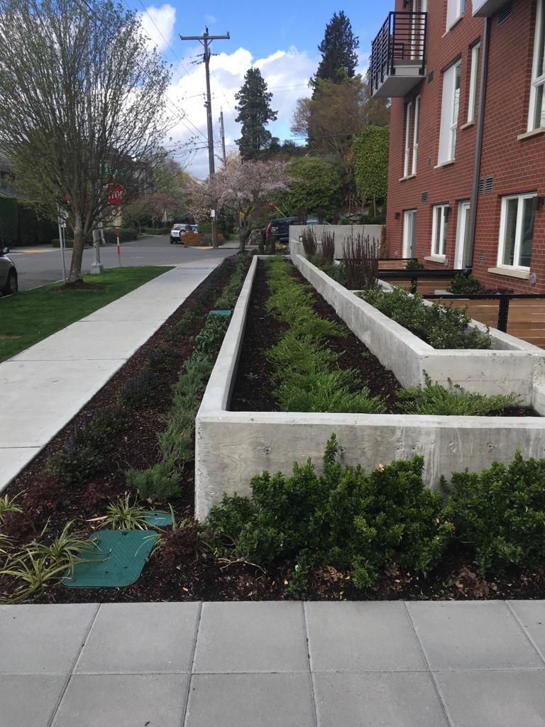 Economy Landscaping Contractor Seattle