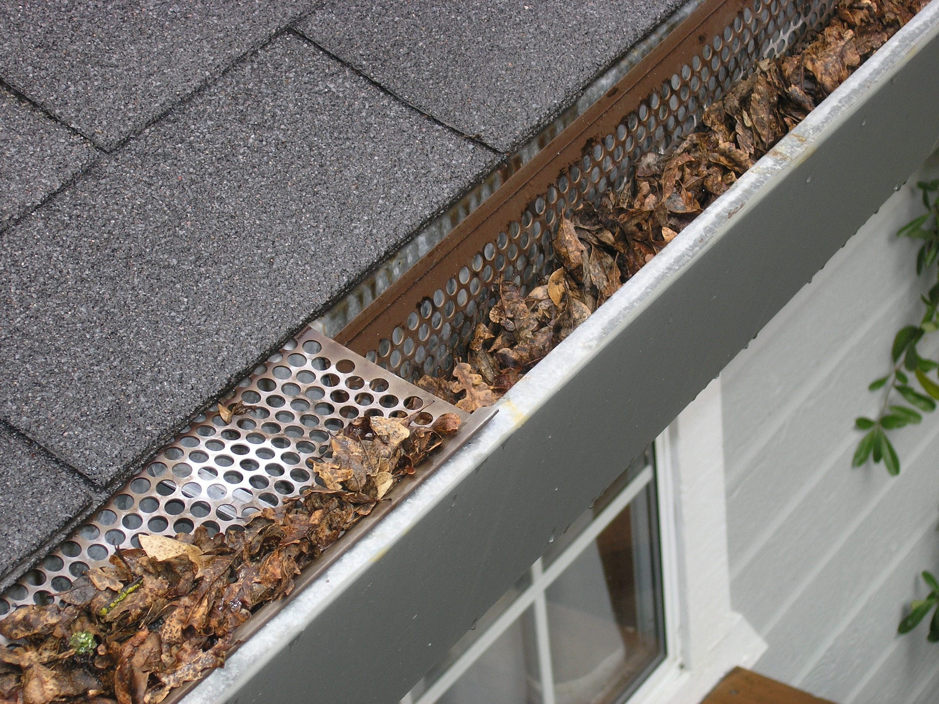 ZK Gutter