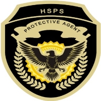 Hall security professional services llc