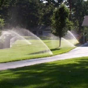 Thirsty Turf Lawn Sprinklers