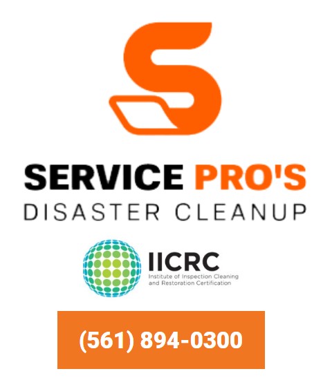 Services Pros of Jupiter