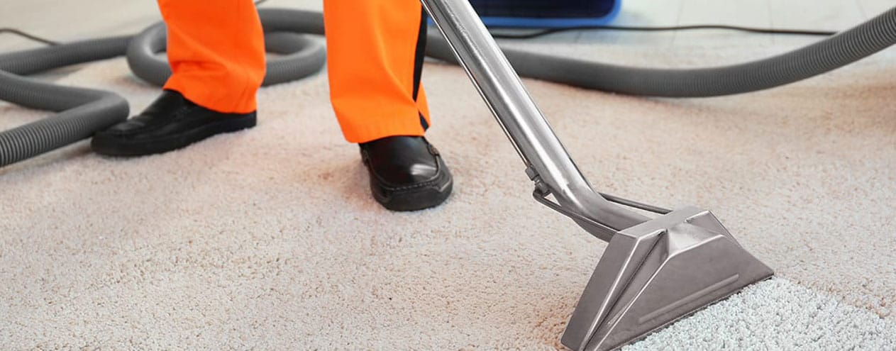 The Ultimate Solution for Carpet Cleaning in Putney – Fanta &hellip;