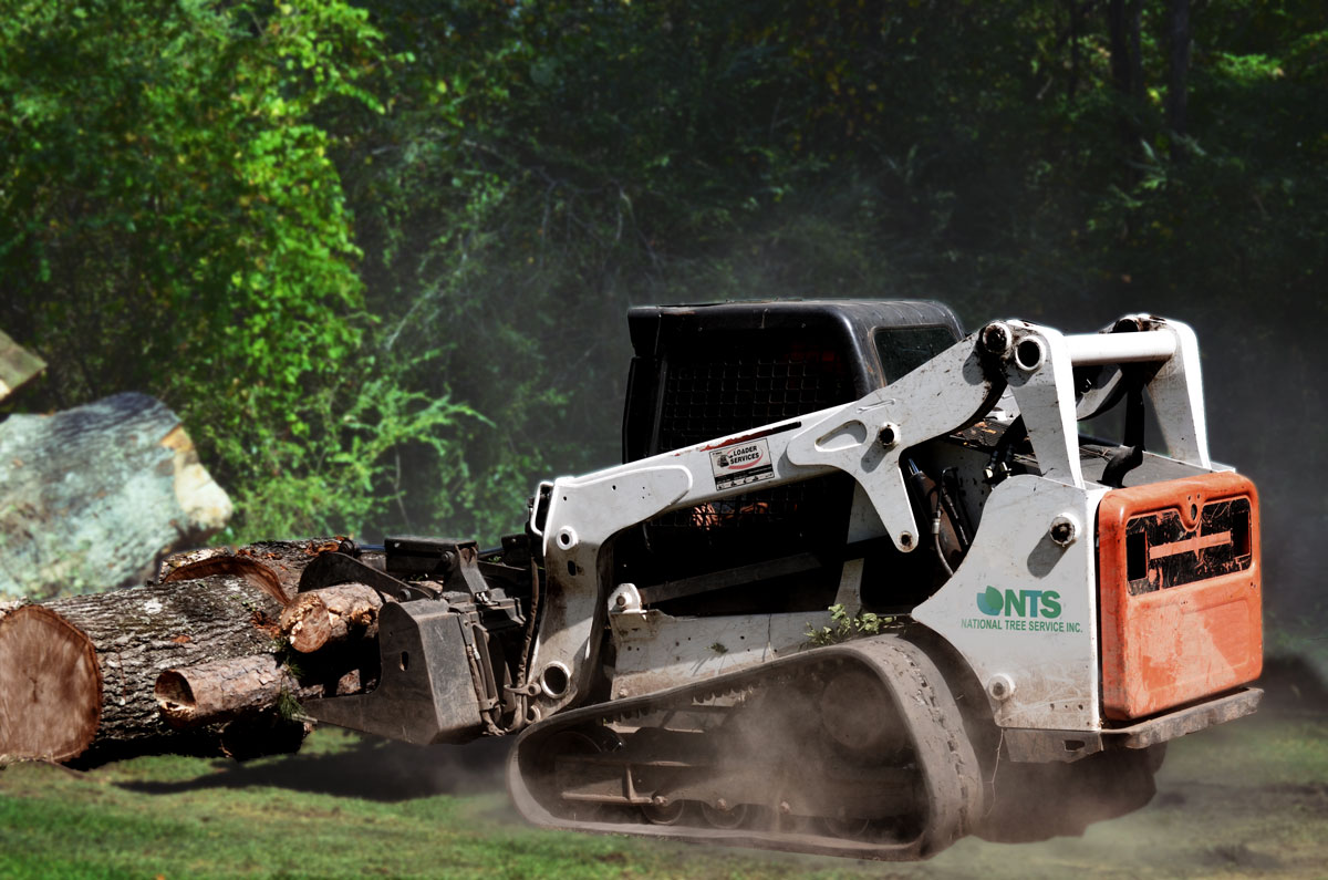 National Tree Service