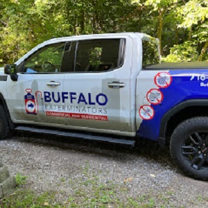 Bed Bug Exterminators Buffalo