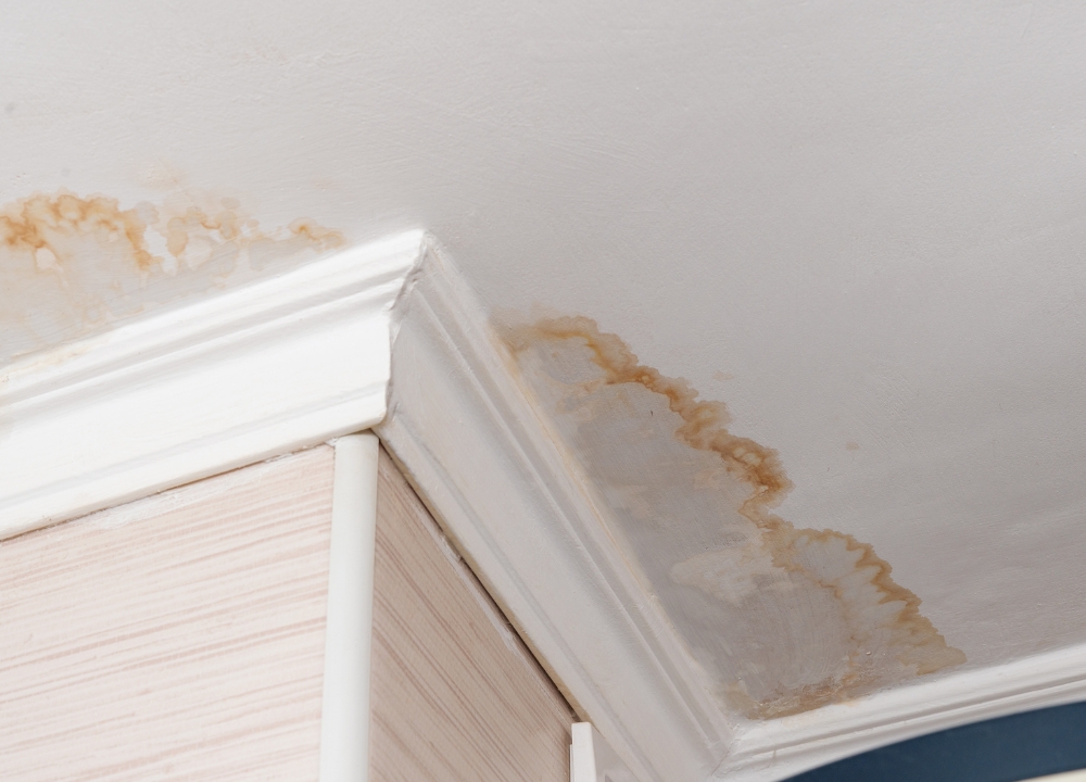 Reliable Water Damage & Restoration Frisco