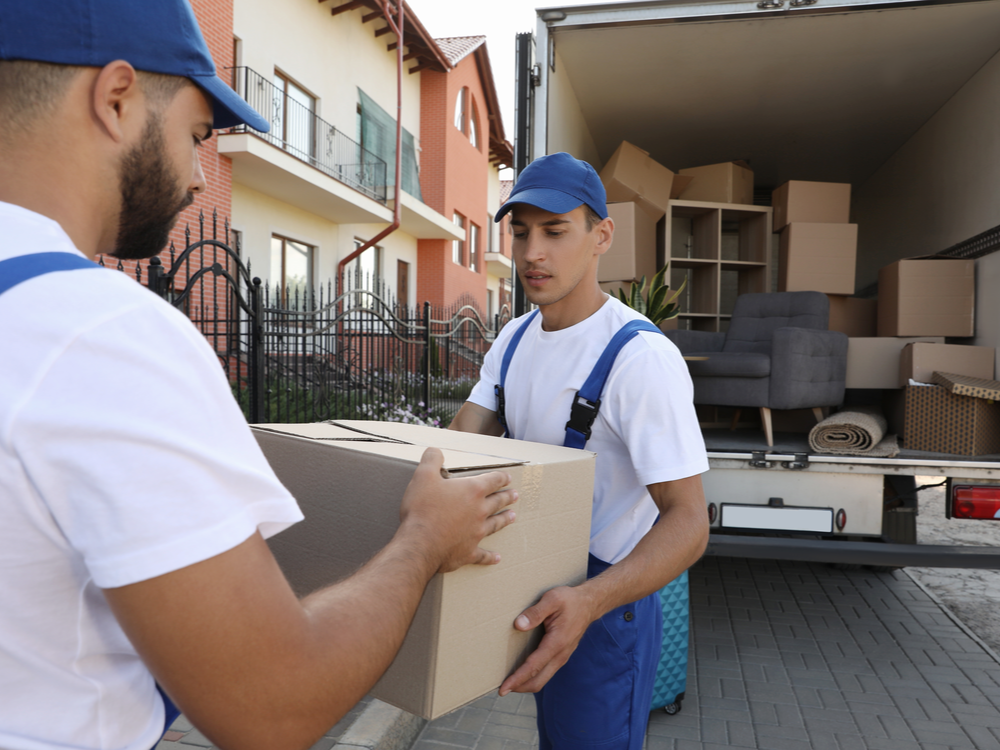 Elite Moving Systems
