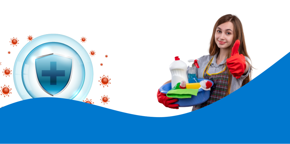 Bee Cleaning Services