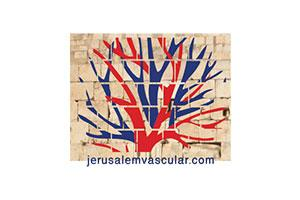 Jerusalem Vascular