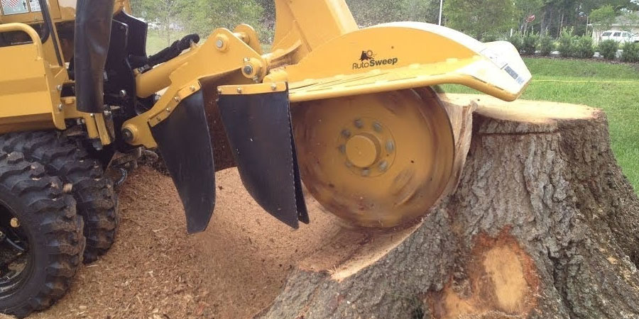 Mishawaka Tree Service