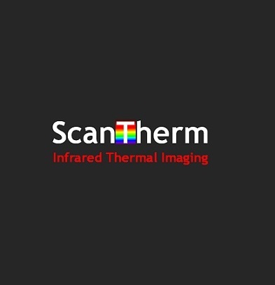 ScanTherm Surveys