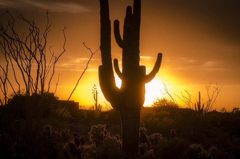 Real Estate Brokerage|scottsdale az real estate agents|Arizona re &hellip;