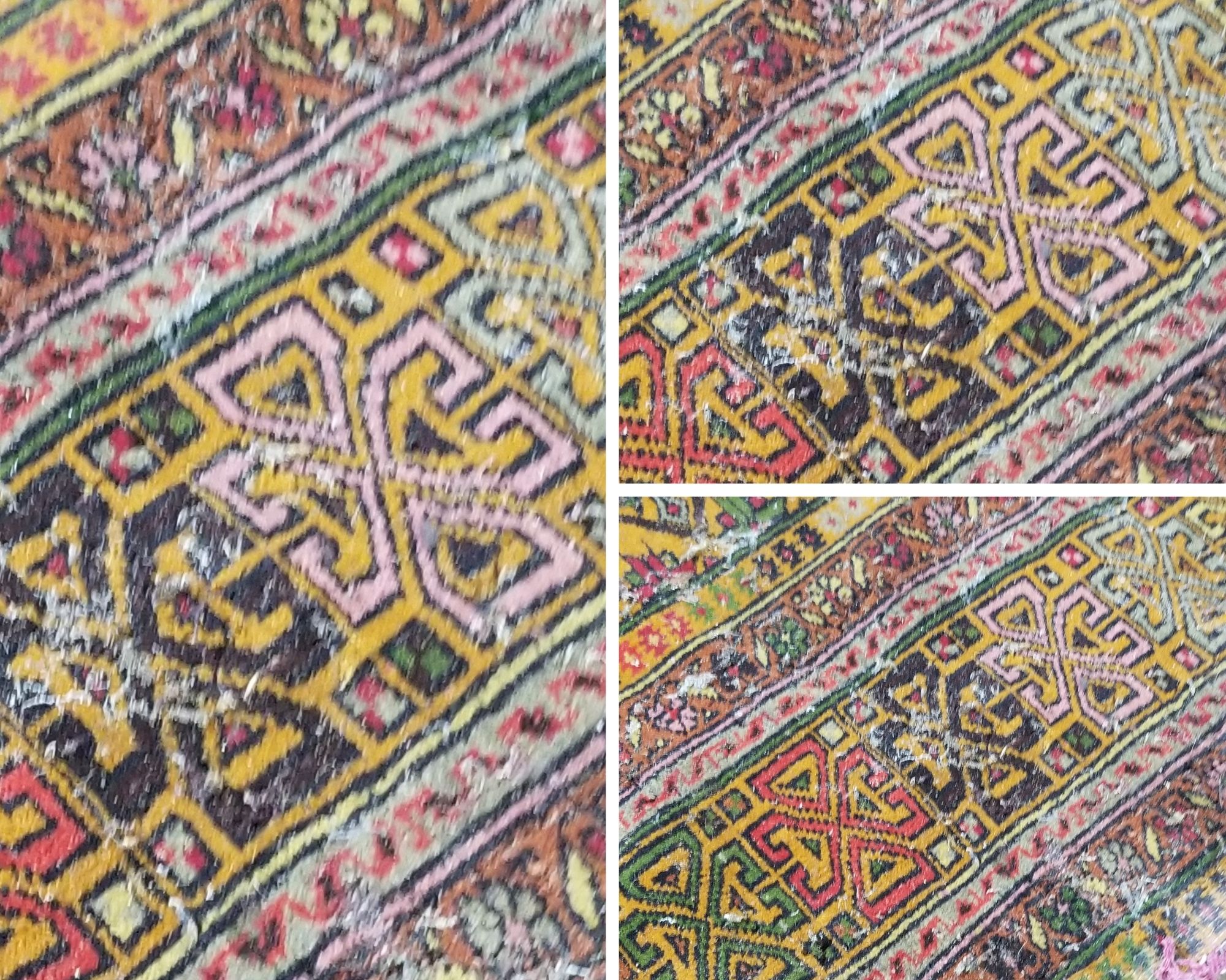 Rug & Carpet Cleaning Service Cortlandt