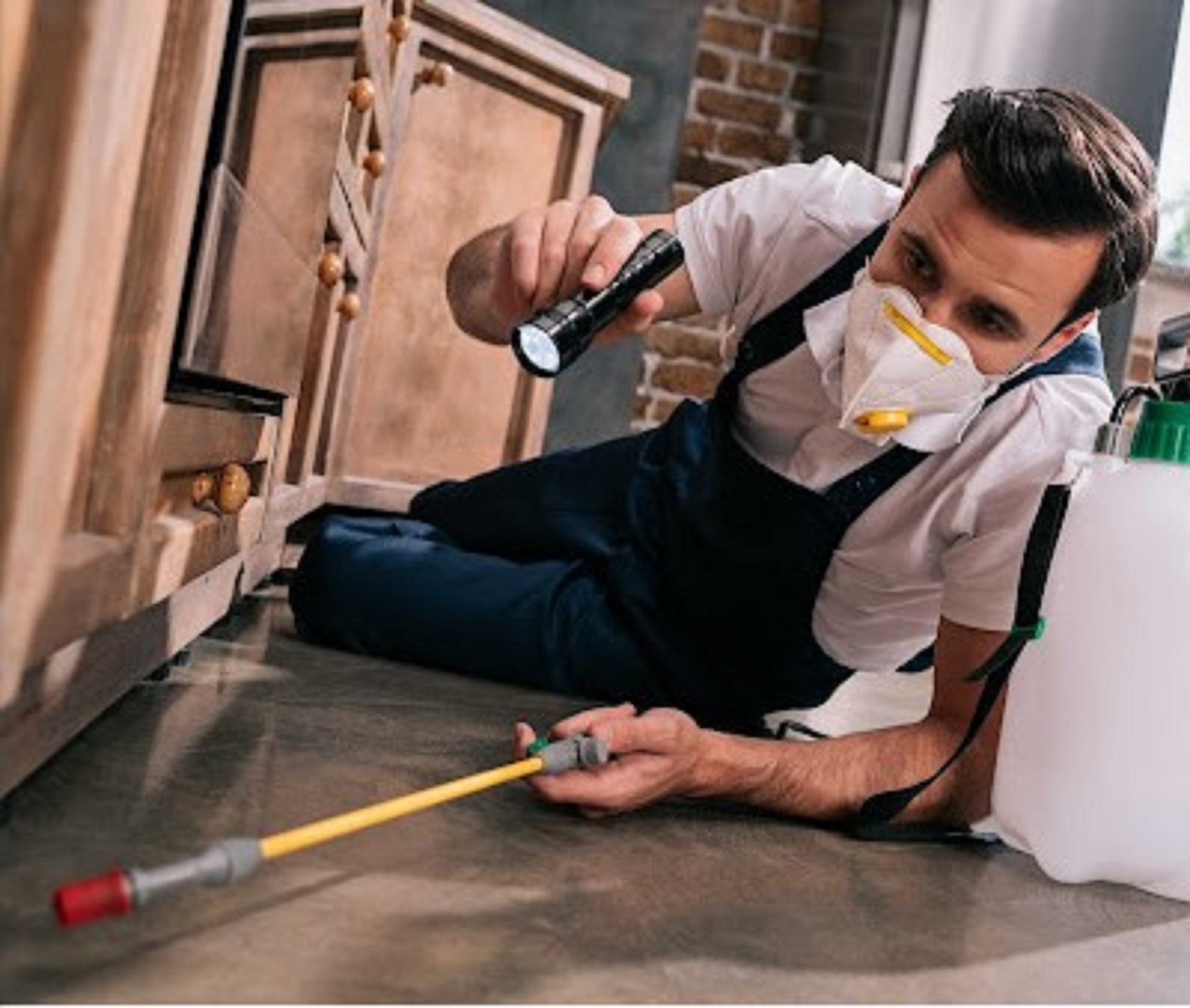 Santa Ana Pest Control Experts
